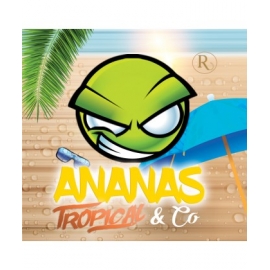 Concentré EXO Ananas Tropical & Co Revolute 10 ml