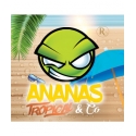 Concentré EXO Ananas Tropical & Co Revolute 10 ml