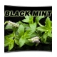 BLACK MINT - 10ML
