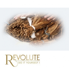 Concentré 4X - Révolute