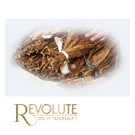 Concentré 4X - Révolute