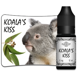 Koala's Kiss