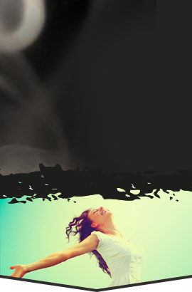 Frais de port offert ...